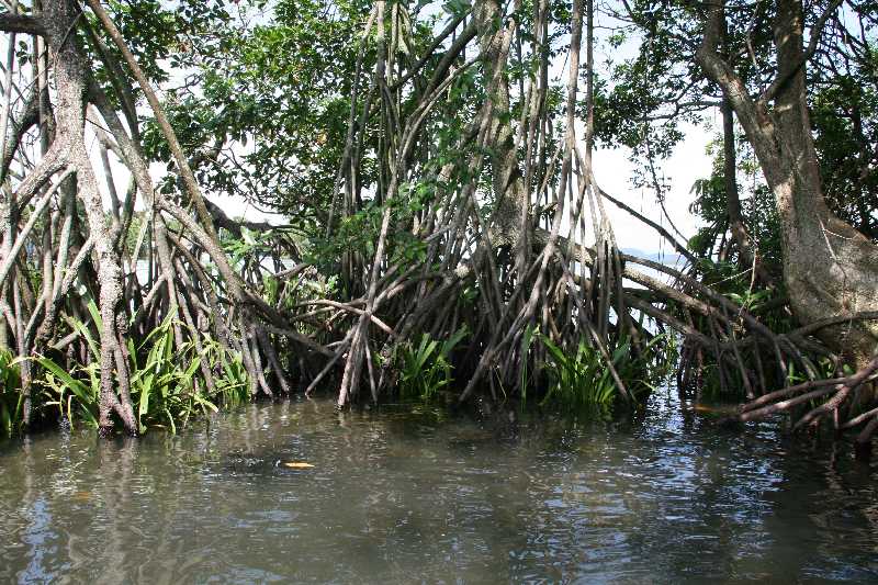 Mexico & Guatemala 2010 - 0951